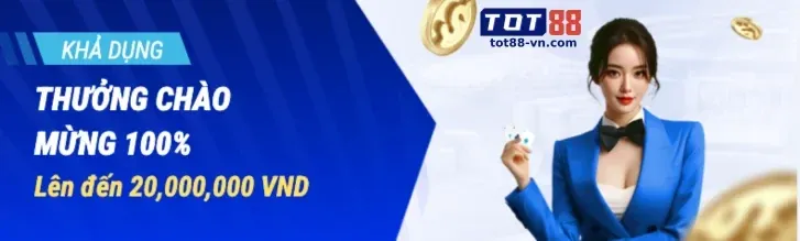 Cung cấp và quản lý dịch vụ